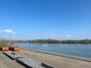 Spaziergänge am Rhein