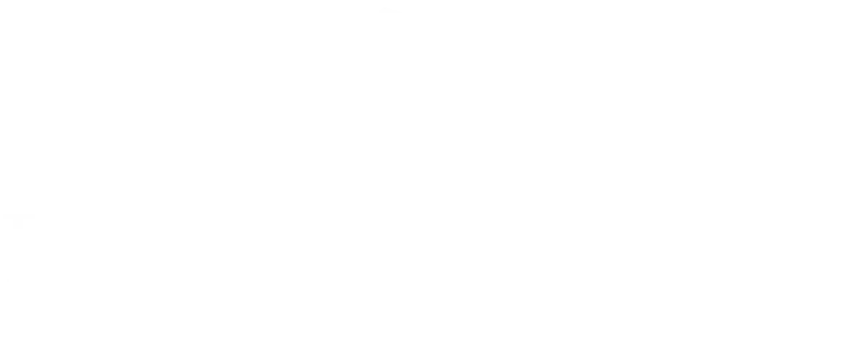 Frank Schäfer Immobilienmakler, Mainz